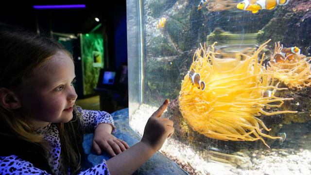 Sea Life Great Yarmouth