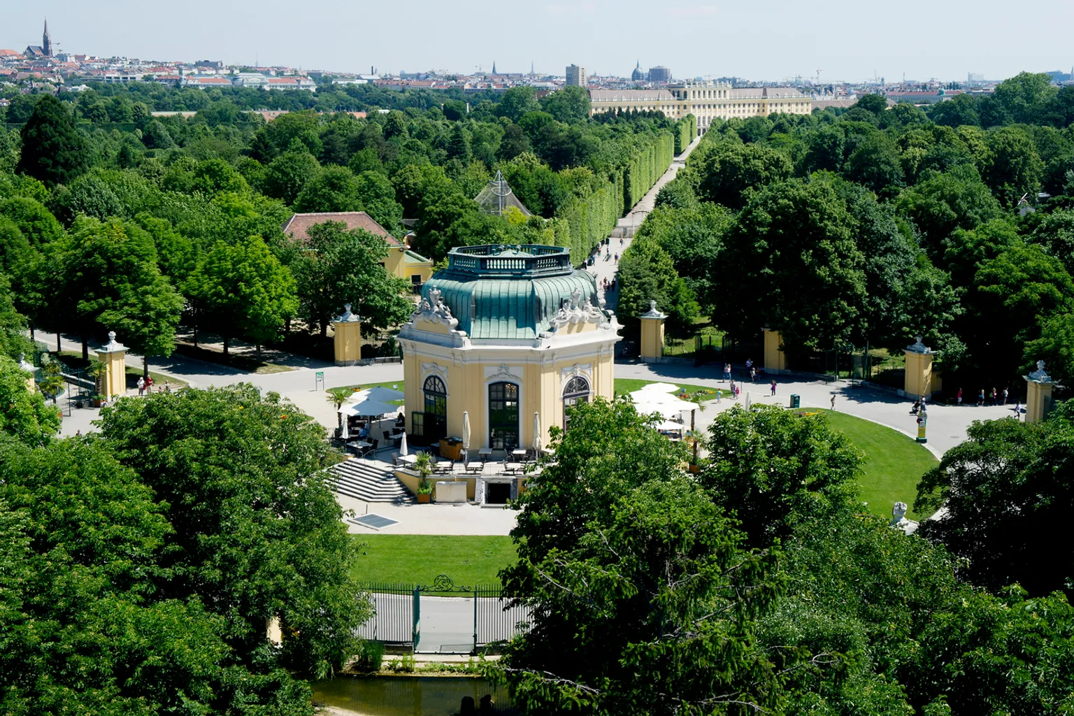 Zoo Schönbrunn bilety: co sprawdzić przed wizytą w Wiedniu?